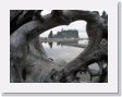 04 Ruby Beach - 05